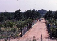 1981 juin Chemins Galgenfeld Vign