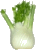 Fenouil2